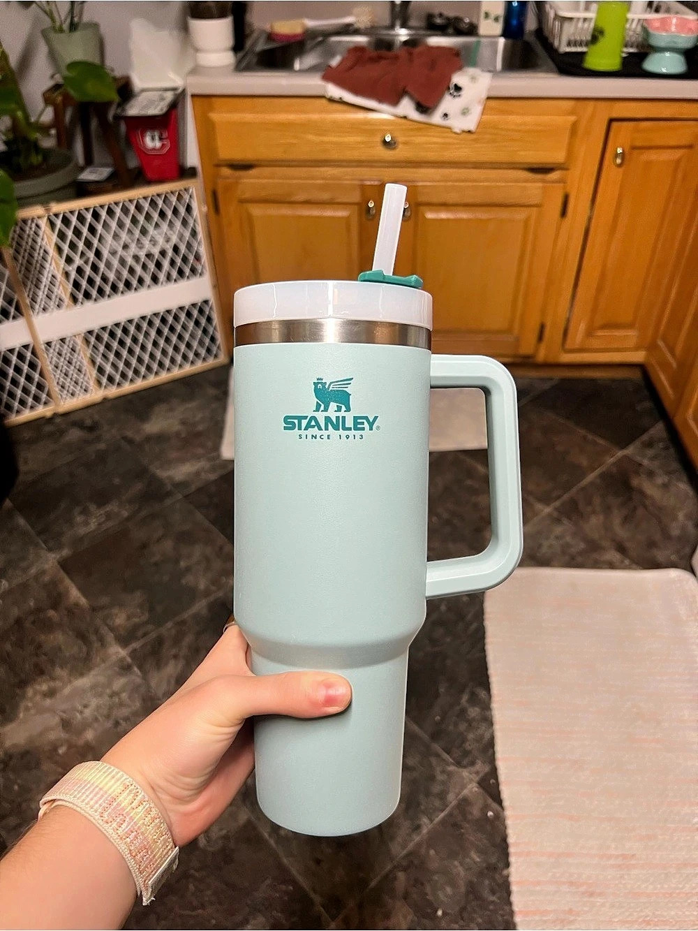 Stanley Quencher H2.0 FlowState Tumbler Green Tumbler Like New